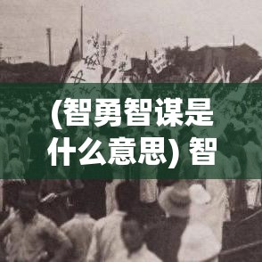 (智勇智谋是什么意思) 智勇争锋：以斗三国中的谋略与战术，解析历史胜者的决策智慧